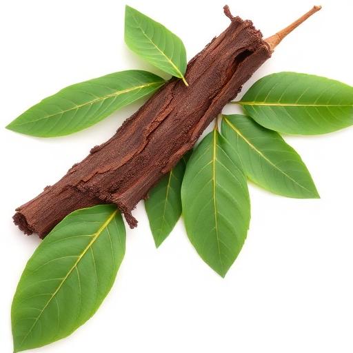 Catuaba