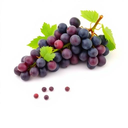 Grape Seed